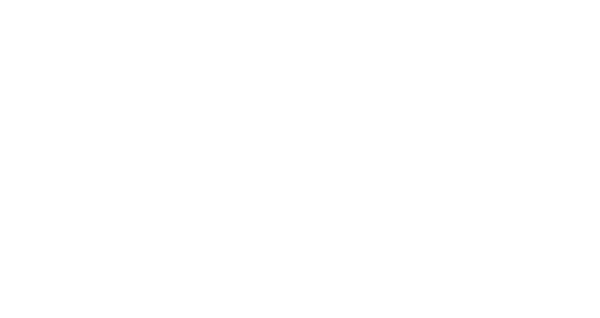 CSN Electric Services LLC